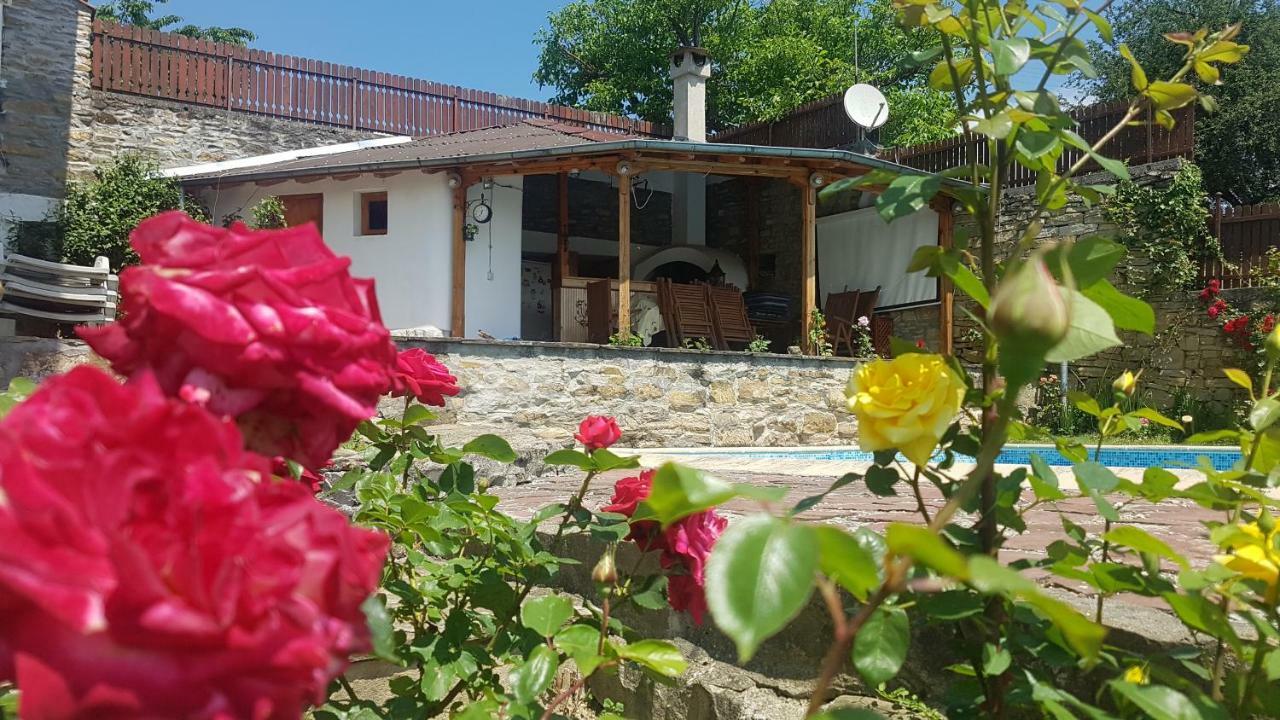 Rosarium Residence Guest House Drjanovo Esterno foto