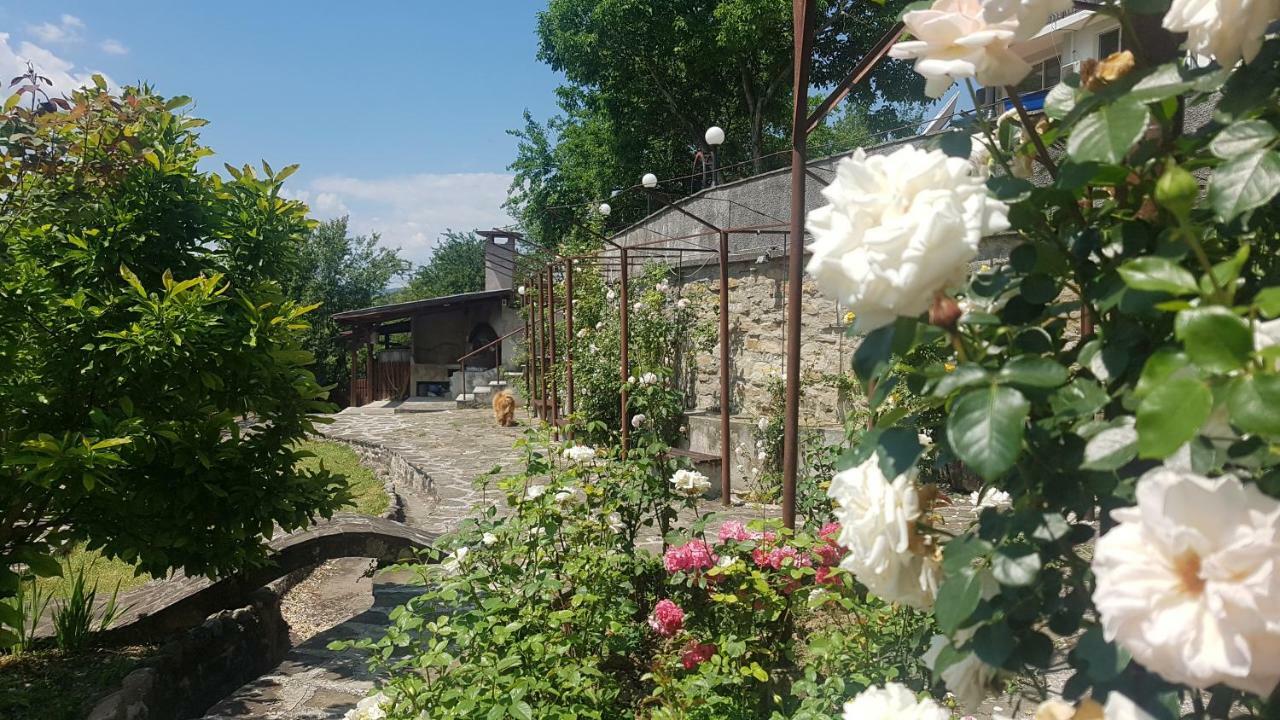 Rosarium Residence Guest House Drjanovo Esterno foto